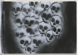 Title: Chickenpox | Date: 2003-2004 | Technique: stencils, printed with black aerosol paint, from multiple stencils