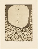 Artist: OLSEN, John | Title: Life drawn to the void | Date: 1975 | Technique: sugarlift etching and aquatint, printed in brown ink with plate-tone, from one zinc plate | Copyright: © John Olsen. Licensed by VISCOPY, Australia