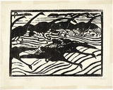 Artist: PRESTON, Margaret | Title: Black swans, Wallis Lake, N.S.W. | Date: 1923 | Technique: woodcut, printed in black ink, from one block | Copyright: © Margaret Preston. Licensed by VISCOPY, Australia