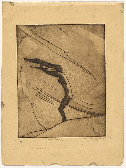 Artist: b'Friend, Donald.' | Title: b'West wind.' | Date: c.1932 | Technique: b'etching and aquatint printed in brown ink with plate-tone' | Copyright: b'Courtesy of the Estate of Donald Friend'