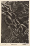 Artist: b'Hillard, Merris.' | Title: b'Composition' | Date: c.1986 | Technique: b'etching and aquatint, printed in black ink, from one plate'