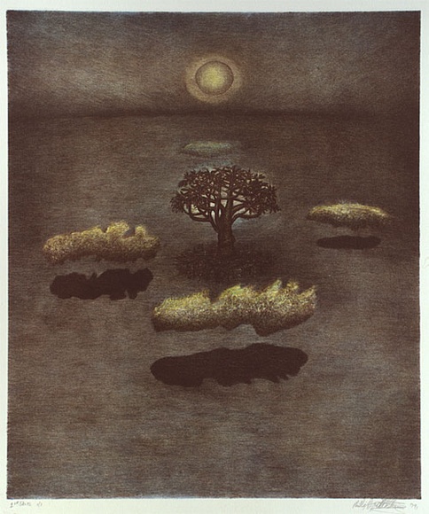 Artist: b'Doggett-Williams, Phillip.' | Title: b'Peaceful arbour' | Date: 1991 | Technique: b'lithograph, printed in colour, from multiple stones'