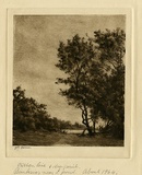 Artist: FARMER, John | Title: Banksias near a pond. | Date: c.1964 | Technique: drypoint, etching, printed in brown ink with plate-tone, from one plate