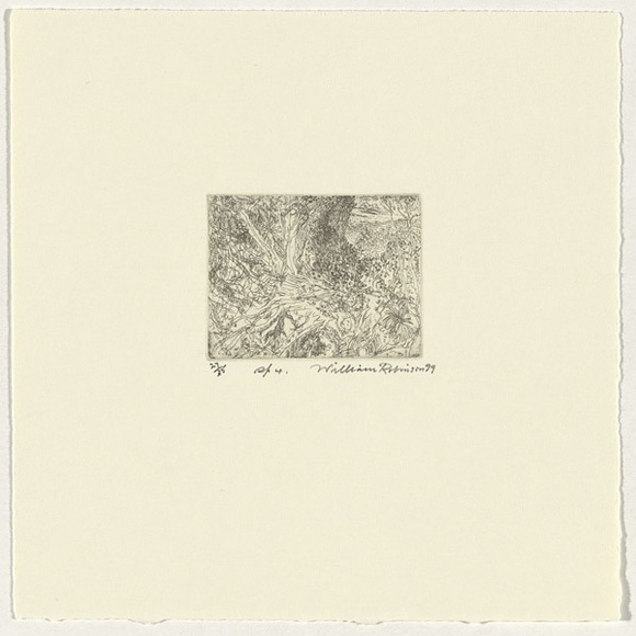 Artist: b'Robinson, William.' | Title: b'Springbrook 4' | Date: 1999 | Technique: b'etching, printed in brown ink, from one plate'