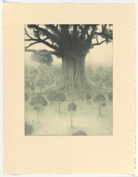 Artist: b'Nix, Jonathon.' | Title: b'Celestial canopy' | Date: 1990 | Technique: b'etching, drypoint and aquatint, printed in green ink, from one plate'