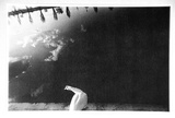 Artist: b'Hall, Judith.' | Title: b'Postcard: (Duck beside a pond)' | Date: 1985 | Technique: b'photo-offset-lithograph'