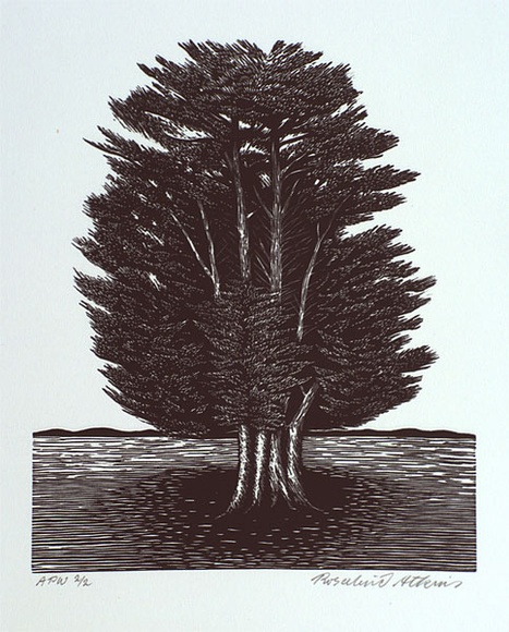 Artist: b'Atkins, Ros.' | Title: b'not titled [tree]' | Date: 2001, February | Technique: b'linoblock, printed in black ink, from one block'