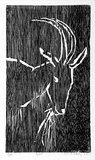 Artist: b'Buckley, Sue.' | Title: b'Goat.' | Date: 1962 | Technique: b'woodcut, printed in black ink, from one block' | Copyright: b'This work appears on screen courtesy of Sue Buckley and her sister Jean Hanrahan'