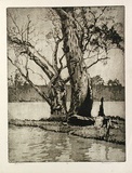 Artist: b'Ragless, Max.' | Title: b'River trees' | Date: 1934 | Technique: b'aquatint and etching, printed in warm black ink with plate-tone, from one plate' | Copyright: b'\xc2\xa9 Max Ragless'