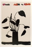 Artist: b'Rose, David.' | Title: b'Mulberry still life' | Date: 1967 | Technique: b'screenprint, printed in colour, from five stencils'