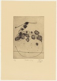 Artist: OLSEN, John | Title: Avocet and leaf | Date: 1976 | Technique: aquatint and etching, printed in black ink with plate-tone, from one plate | Copyright: © John Olsen. Licensed by VISCOPY, Australia