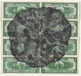 Artist: HALL, Fiona | Title: Tropaeolum  majus - Nasturtium (Peruvian currency) | Date: 2000 - 2002 | Technique: gouache | Copyright: © Fiona Hall