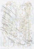 Artist: MEYER, Bill | Title: Study for Holcombe Forest | Date: 1988 | Technique: screenprint, printed in six colours, from one direct emulsion reduction screen and one hand drawn with charcoal on acetate for indirect photo screen | Copyright: © Bill Meyer