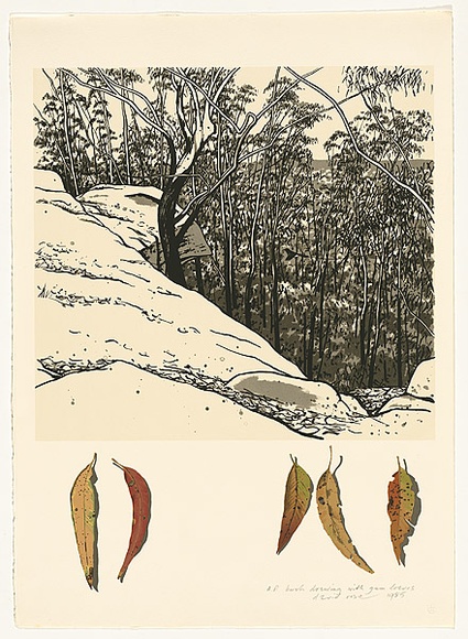 Artist: b'Rose, David.' | Title: b'Bush drawing with gum leaves' | Date: 1985 | Technique: b'screenprint, printed in colour, from multiple stencils'