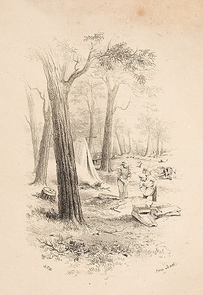 Artist: b'GILL, S.T.' | Title: b'Iron Bark.' | Date: 1852 | Technique: b'lithograph, printed in black ink, from one stone'