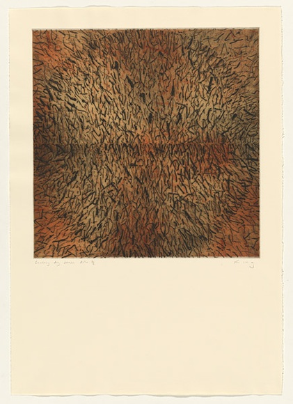 Artist: KING, Martin | Title: Geodesy: dry season | Date: 2000, April | Technique: etching, printed in colour, from multiple plates