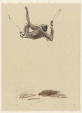 Artist: MACQUEEN, Mary | Title: The gibbon | Date: 1968 | Technique: lithograph, printed in colour, from  three plates in black, brown and grey i ink | Copyright: Courtesy Paulette Calhoun, for the estate of Mary Macqueen