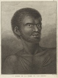 Title: b'Un homme de la terre de Van- Demen' | Date: 1829 | Technique: b'etching and engraving, printed in black ink, from one plate'