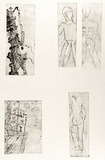 Artist: b'SHEARER, Mitzi' | Title: b'not titled [Five small pictures]' | Technique: b'etching, printed in black ink with plate-tone, from five  plates'