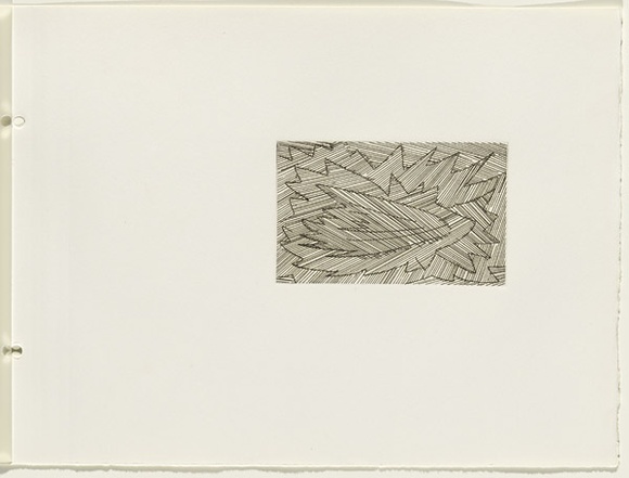 Artist: b'JACKS, Robert' | Title: b'not titled [abstract linear composition]. [leaf 43 : recto]' | Date: 1978 | Technique: b'etching, printed in black ink, from one plate'