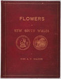 Artist: b'WALKER, Annie' | Title: b'Flowers of New South Wales' | Date: 1887 | Technique: b'lithographs, printed in black ink, each from one stone; hand-coloured'