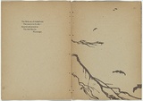 Artist: Teague, Violet. | Title: not titled [tree branch]. | Date: 1905 | Technique: woodcut, printed in colour in the Japanese manner, from two blocks | Copyright: © Violet Teague Archive, courtesy Felicity Druce