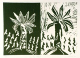 Artist: SHEARER, Mitzi | Title: In the forest | Date: 1977 | Technique: linocut, printed in green ink, from two blocks