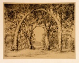 Artist: Warner, Alfred Edward. | Title: Australian gothic | Technique: lithograph, printed in black ink, from one plate