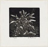 Artist: OGILVIE, Helen | Title: Things of the ground. | Date: c.1943 | Technique: wood-engraving, printed in black ink, from one block