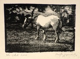 Artist: b'Reynolds, Frederick George.' | Title: b'The white horse' | Date: (1928) | Technique: b'woodcut, printed in black ink, from one block'