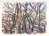 Artist: b'KING, Grahame' | Title: b'Kimberley landscape' | Date: 1993 | Technique: b'lithograph, printed in colour, from multiple stones [or plates]'