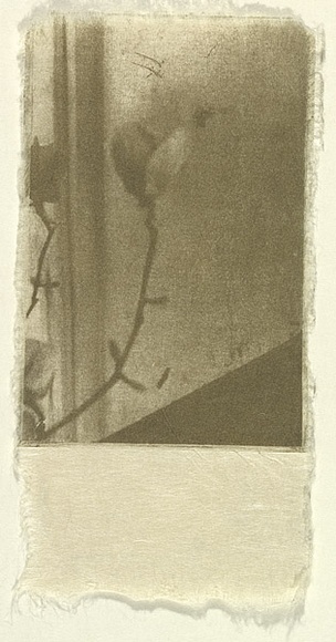 Title: b'Absence [fifth etching]' | Date: 2000-2004 | Technique: b'photo-etching, printed in graphite and gold powder, from one plate'