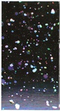 Title: b'Falling snow I [centre panel]' | Date: 2007 | Technique: b'digital print, printed in colour, from digital file'