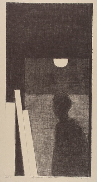 Artist: b'Lincoln, Kevin.' | Title: b'Self-portrait reflected' | Date: 1995, November | Technique: b'lithograph, printed in colour, from multiple plates'