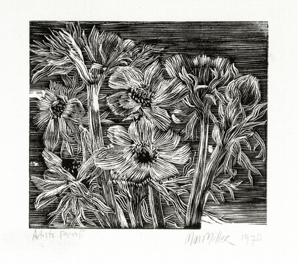 Artist: Miller, Max. | Title: Foliage, flowers, daisies | Date: 1970 | Technique: wood-engraving, printed in black ink, from one block