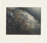 Artist: SCHMEISSER, Jorg | Title: Rock face, colour | Date: 1985 | Technique: soft-ground aquatint etching, printed in colour, from two plates | Copyright: © Jörg Schmeisser