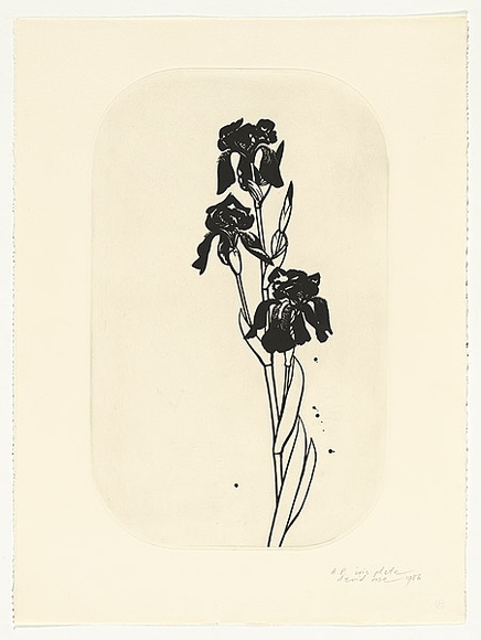 Artist: b'Rose, David.' | Title: b'Iris plate' | Date: 1986 | Technique: b'aquatint, printed in black ink, from one plate'