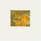 Artist: Bragge, Anita. | Title: Tiger | Date: 1997, May | Technique: etching, printed in green black and ochre ink from three plates