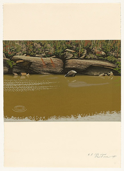 Artist: b'ROSE, David' | Title: b'Colo River' | Date: 1981 | Technique: b'screenprint, printed in colour, from multiple stencils'