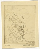 Artist: b'McCulloch, Alan.' | Title: b'Sea breezes' | Date: c.1937 | Technique: b'etching printed in brown ink with pencil'