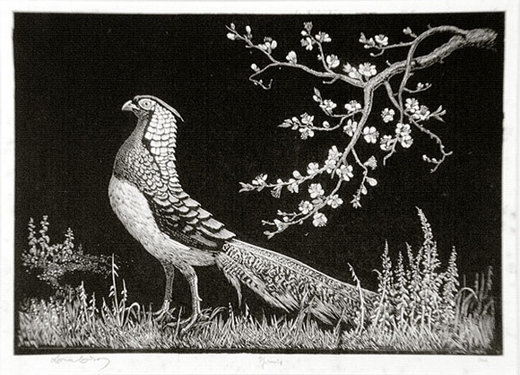 Artist: b'LINDSAY, Lionel' | Title: b'Spring' | Date: 1936 | Technique: b'wood-engraving, printed in black ink, from one block' | Copyright: b'Courtesy of the National Library of Australia'