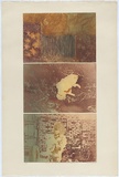 Artist: b'Hjorth, Noela.' | Title: bThe portrait of the artist's son, cat and garden. | Date: 1972 | Technique: b'photo-etching, printed in colour, from multiple plates'