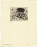 Artist: b'WALKER, Murray' | Title: b'Wooded hill and cloud' | Date: 1963 | Technique: b'drypoint, printed in black ink, from one plate'