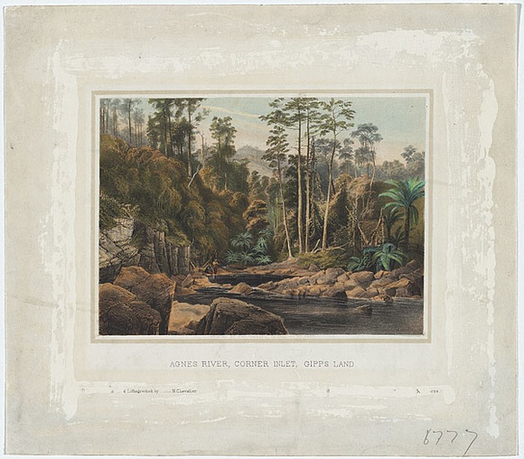 Artist: b'Chevalier, Nicholas.' | Title: b'Agnes River Corner Inlet, Gippsland.' | Date: 1865 | Technique: b'lithograph, printed in colour, from multiple stones; additional hand-colouring'