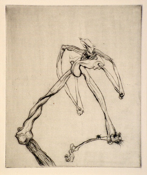 Artist: b'Graham, Geoffrey.' | Title: b'Striding bone figure' | Date: c.1938 | Technique: b'etching, printed in black ink, from one plate'