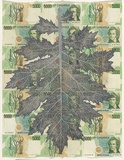 Artist: HALL, Fiona | Title: Acanthus mollis - Bear's breeches (Italian currency) | Date: 2000 - 2002 | Technique: gouache | Copyright: © Fiona Hall