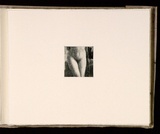 Artist: b'Mann, Gillian.' | Title: b'(Lower torso of female).' | Date: 1981 | Technique: b'etching, printed in black ink, from one plate'