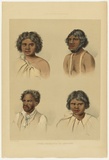 Artist: b'Angas, George French.' | Title: b'Typical portraits of the Aborigines.' | Date: 1846-47 | Technique: b'lithograph, printed in colour, from multiple stones; varnish highlights by brush'