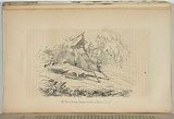 Artist: Ham Brothers. | Title: Mr Neuchamp drops across a native dog. | Date: 1851 | Technique: engraving, printed in black ink, from one copper plate