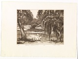 Artist: PLATT, Austin | Title: Willow pond, Centennial Park | Date: 1984 | Technique: etching, printed in black ink, from one plate